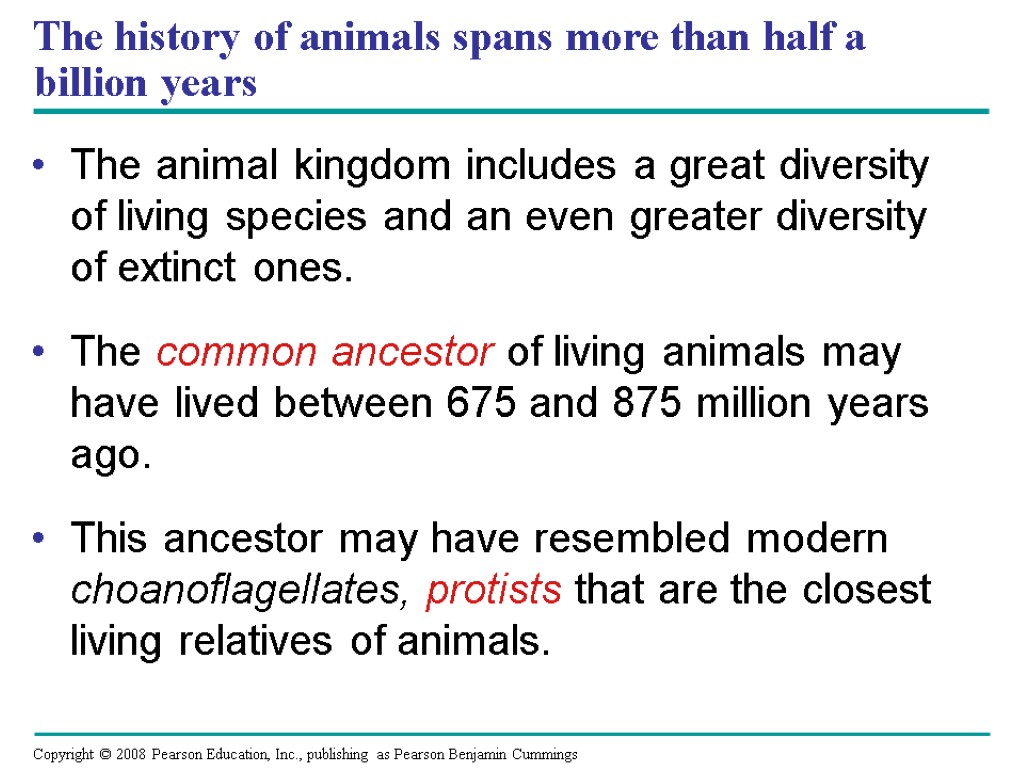 The history of animals spans more than half a billion years The animal kingdom